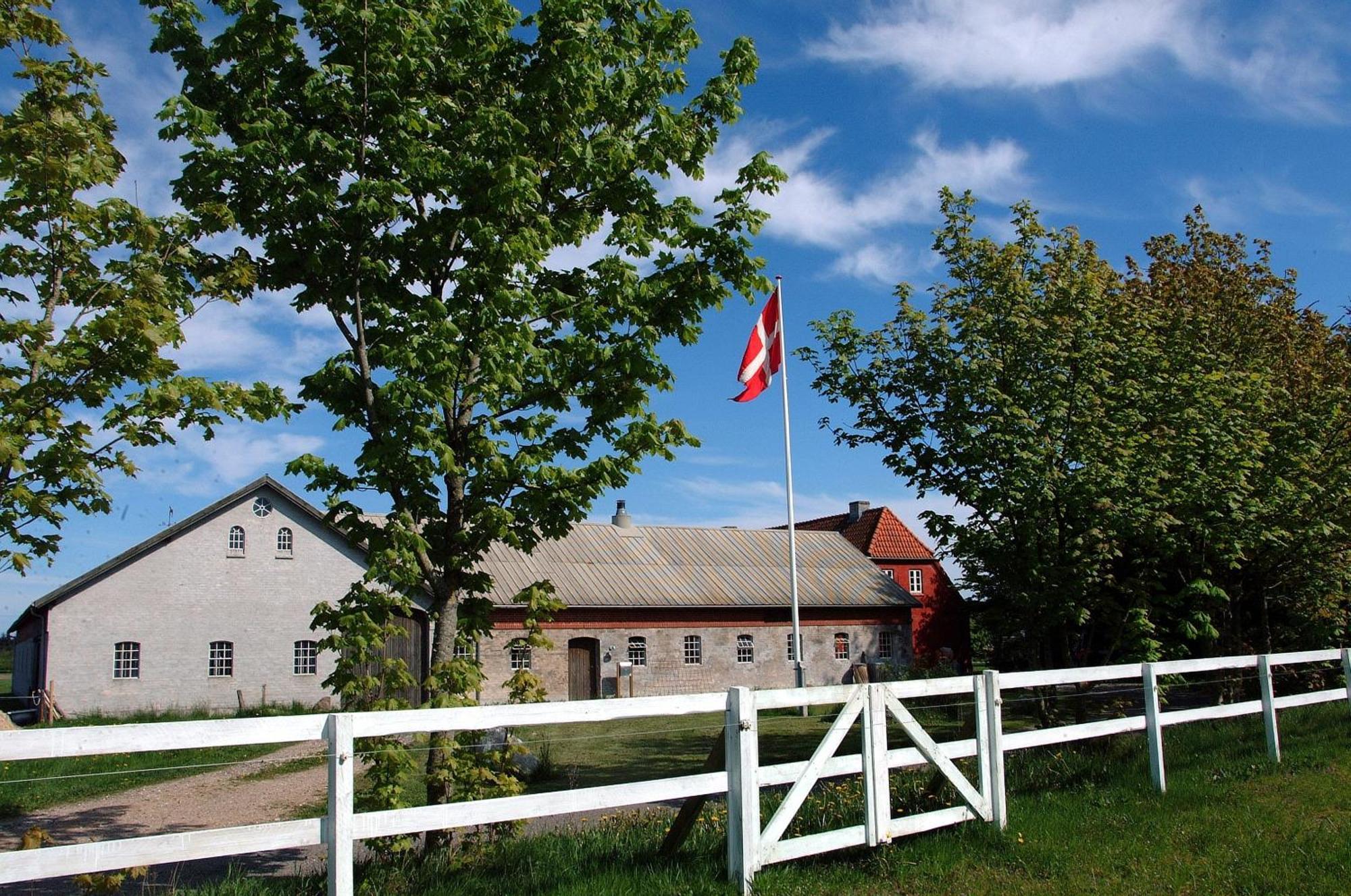 Stald Nordkap Farm Holiday Villa Bindslev Exteriör bild